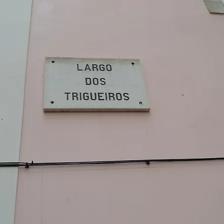 Apartment Low Cost Sun Terrace Lisbon